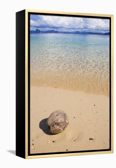 Coconut on a Sandy Beach in the Bacuit Archipelago, Palawan, Philippines-Michael Runkel-Framed Premier Image Canvas