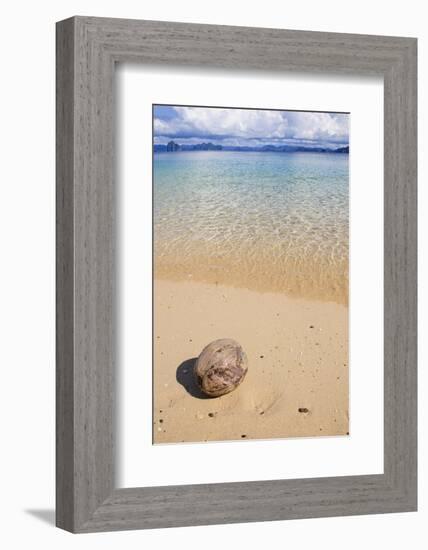 Coconut on a Sandy Beach in the Bacuit Archipelago, Palawan, Philippines-Michael Runkel-Framed Photographic Print