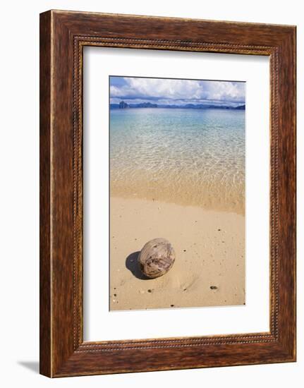 Coconut on a Sandy Beach in the Bacuit Archipelago, Palawan, Philippines-Michael Runkel-Framed Photographic Print