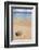 Coconut on a Sandy Beach in the Bacuit Archipelago, Palawan, Philippines-Michael Runkel-Framed Photographic Print