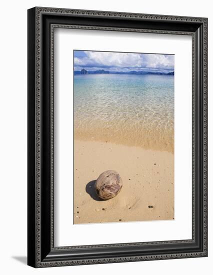 Coconut on a Sandy Beach in the Bacuit Archipelago, Palawan, Philippines-Michael Runkel-Framed Photographic Print