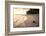 Coconut on a Tropical Beach at Sunset, Rarotonga Island, Cook Islands, South Pacific, Pacific-Matthew Williams-Ellis-Framed Photographic Print