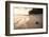 Coconut on a Tropical Beach at Sunset, Rarotonga Island, Cook Islands, South Pacific, Pacific-Matthew Williams-Ellis-Framed Photographic Print