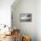 Coconut Palm and Magnificent Frigatebird, Half Moon Caye, Lighthouse Reef, Atoll, Belize-Pete Oxford-Framed Premier Image Canvas displayed on a wall