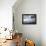 Coconut Palm and Magnificent Frigatebird, Half Moon Caye, Lighthouse Reef, Atoll, Belize-Pete Oxford-Framed Premier Image Canvas displayed on a wall