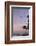 Coconut Palm and Magnificent Frigatebird, Half Moon Caye, Lighthouse Reef, Atoll, Belize-Pete Oxford-Framed Photographic Print