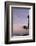 Coconut Palm and Magnificent Frigatebird, Half Moon Caye, Lighthouse Reef, Atoll, Belize-Pete Oxford-Framed Photographic Print