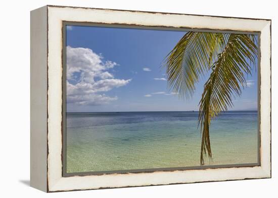 Coconut palm fronds hang down over the shore along the beach at San Juan, Siquijor, Philippines, So-Nigel Hicks-Framed Premier Image Canvas