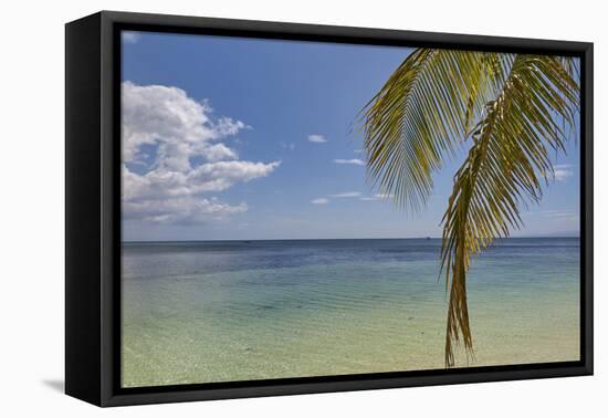 Coconut palm fronds hang down over the shore along the beach at San Juan, Siquijor, Philippines, So-Nigel Hicks-Framed Premier Image Canvas