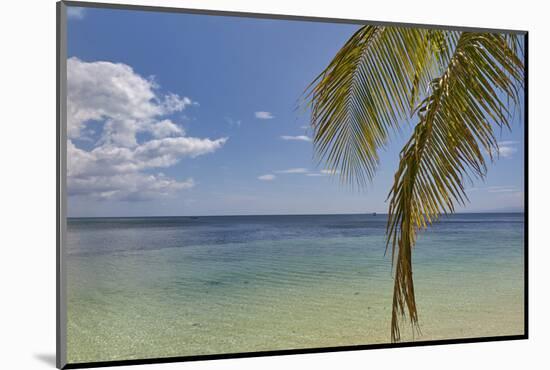 Coconut palm fronds hang down over the shore along the beach at San Juan, Siquijor, Philippines, So-Nigel Hicks-Mounted Photographic Print