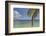 Coconut palm fronds hang down over the shore along the beach at San Juan, Siquijor, Philippines, So-Nigel Hicks-Framed Photographic Print