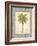 Coconut Palm Illustration-Arnie Fisk-Framed Art Print