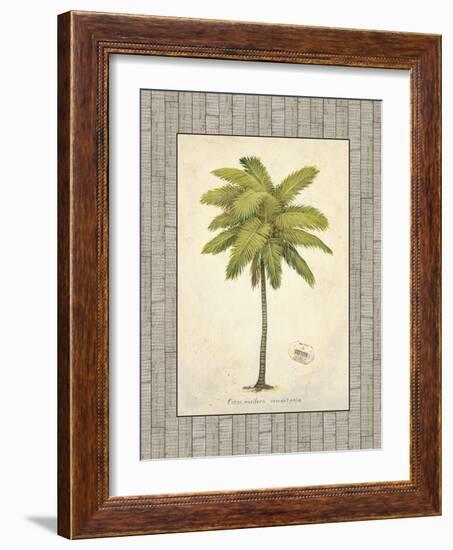 Coconut Palm Illustration-Arnie Fisk-Framed Art Print