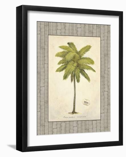 Coconut Palm Illustration-Arnie Fisk-Framed Art Print