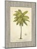 Coconut Palm Illustration-Arnie Fisk-Mounted Art Print
