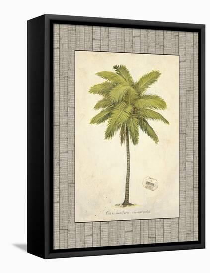 Coconut Palm Illustration-Arnie Fisk-Framed Stretched Canvas