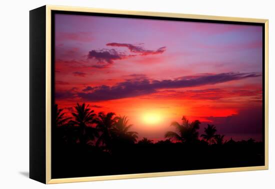 Coconut Palm on Sand Beach in Tropic on Sunset. Thailand-Krivosheev Vitaly-Framed Premier Image Canvas