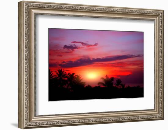 Coconut Palm on Sand Beach in Tropic on Sunset. Thailand-Krivosheev Vitaly-Framed Photographic Print