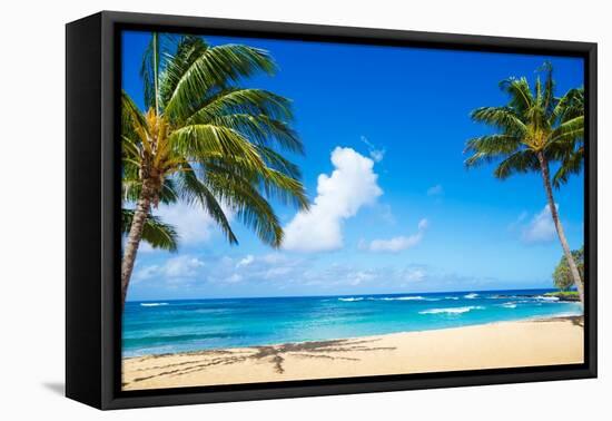 Coconut Palm Tree on the Sandy Beach in Hawaii, Kauai-EllenSmile-Framed Premier Image Canvas