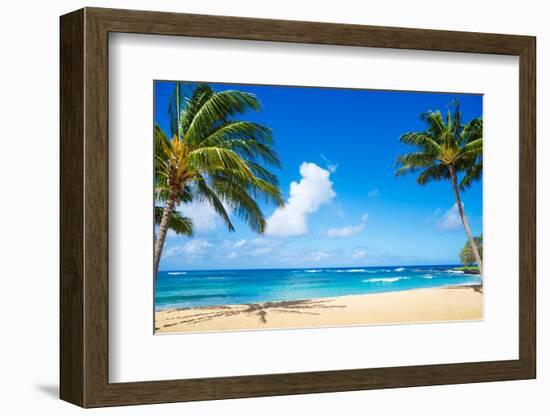 Coconut Palm Tree on the Sandy Beach in Hawaii, Kauai-EllenSmile-Framed Photographic Print