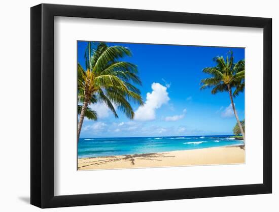 Coconut Palm Tree on the Sandy Beach in Hawaii, Kauai-EllenSmile-Framed Photographic Print