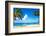 Coconut Palm Tree on the Sandy Beach in Hawaii, Kauai-EllenSmile-Framed Photographic Print