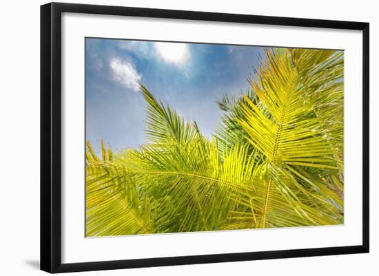 Photo, , large