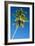 Coconut Palm Tree-Matthew Oldfield-Framed Photographic Print