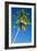 Coconut Palm Tree-Matthew Oldfield-Framed Photographic Print