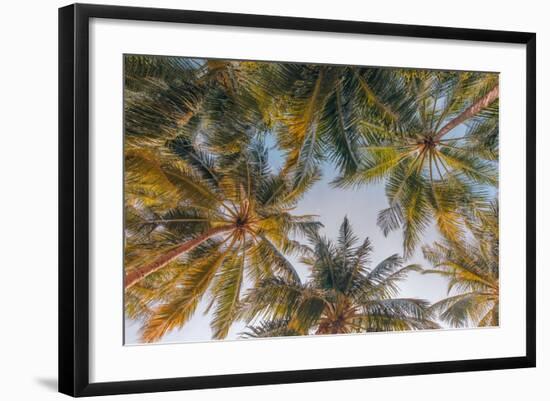 Photo, , large