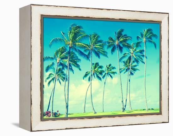 Coconut Palm Trees in Hawaii (Vintage Style)-EllenSmile-Framed Premier Image Canvas