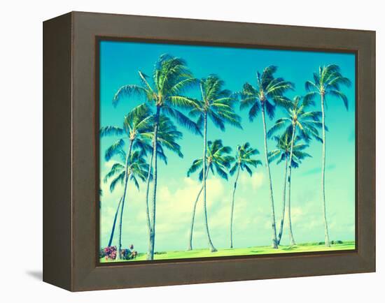 Coconut Palm Trees in Hawaii (Vintage Style)-EllenSmile-Framed Premier Image Canvas