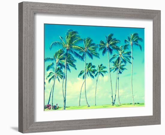 Coconut Palm Trees in Hawaii (Vintage Style)-EllenSmile-Framed Photographic Print