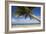 Coconut Palm-null-Framed Photographic Print