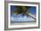 Coconut Palm-null-Framed Photographic Print