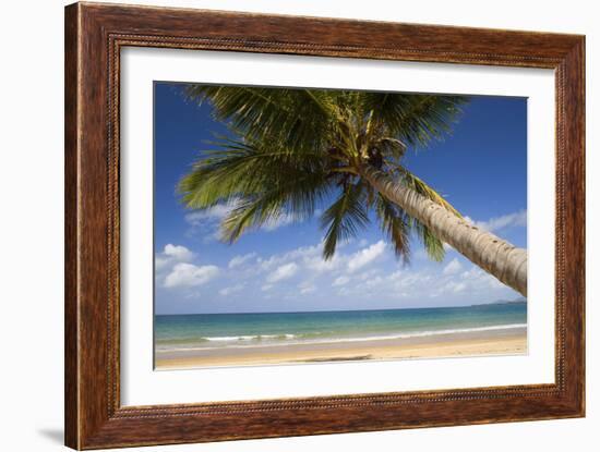 Coconut Palm-null-Framed Photographic Print