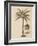 Coconut Palm-Porter Design-Framed Giclee Print