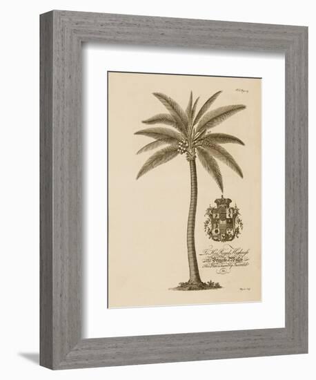 Coconut Palm-Porter Design-Framed Giclee Print