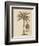 Coconut Palm-Porter Design-Framed Giclee Print