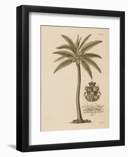 Coconut Palm-Porter Design-Framed Giclee Print