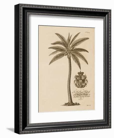 Coconut Palm-Porter Design-Framed Giclee Print