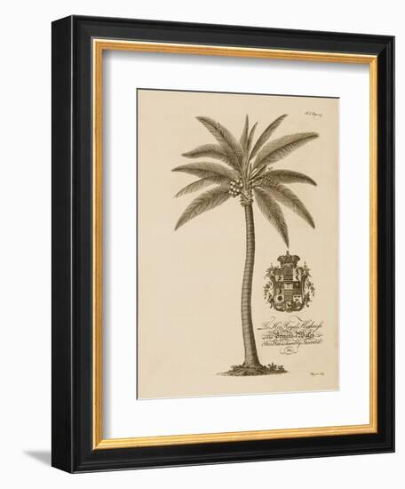 Coconut Palm-Porter Design-Framed Giclee Print