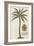 Coconut Palm-Porter Design-Framed Giclee Print