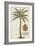 Coconut Palm-Porter Design-Framed Giclee Print