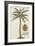 Coconut Palm-Porter Design-Framed Giclee Print