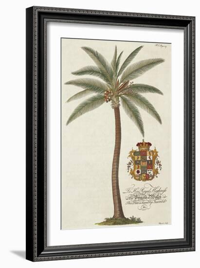 Coconut Palm-Porter Design-Framed Giclee Print