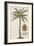 Coconut Palm-Porter Design-Framed Giclee Print