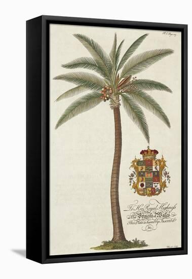 Coconut Palm-Porter Design-Framed Premier Image Canvas