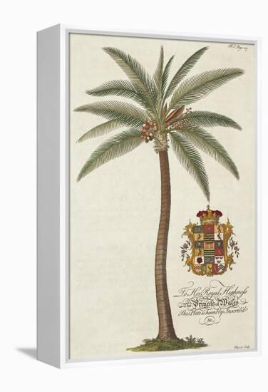 Coconut Palm-Porter Design-Framed Premier Image Canvas