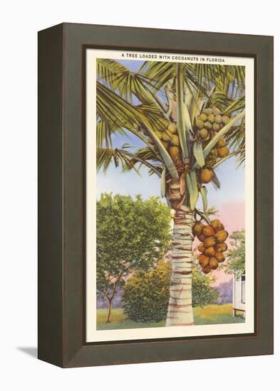 Coconut Palm-null-Framed Stretched Canvas